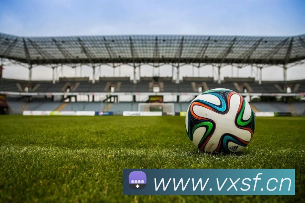 巅峰国际手机版官方下载平台生态图