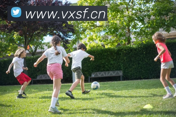 巅峰国际手机版官方下载全站App